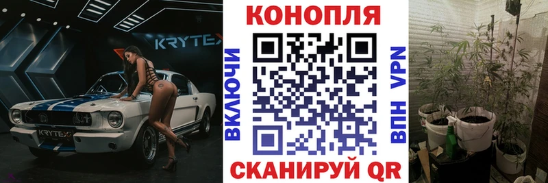 где можно купить наркотик  Гусь-Хрустальный  Марихуана семена 